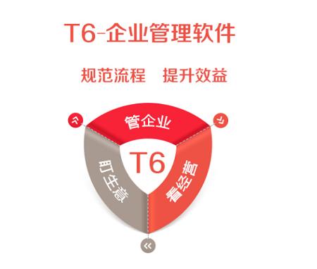 濟(jì)南用友軟件T6軟件管理功能特點(diǎn)介紹